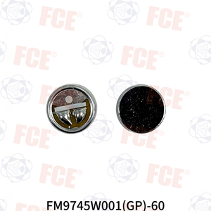 FM9745W001(GP)-60 - 4,5Ω 